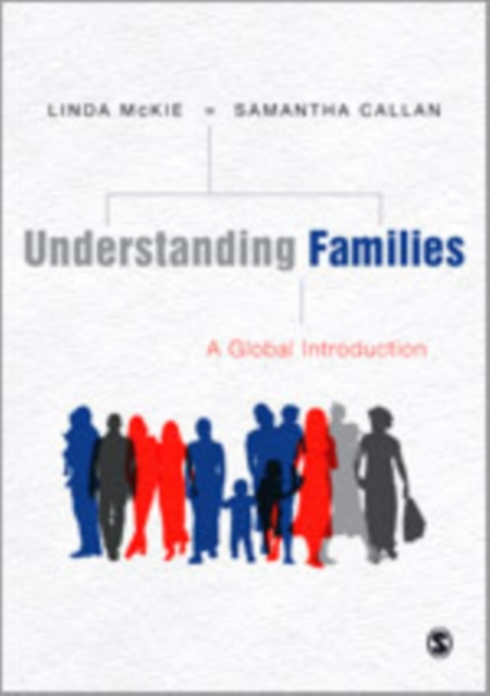 Understanding Families : A Global Introduction, Hardback Book