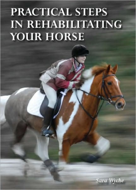 Practical Steps in Rehabilitating your Horse, Hardback Book