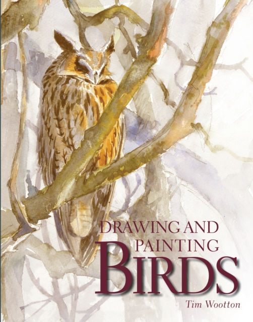 Drawing and Painting Birds, Paperback / softback Book