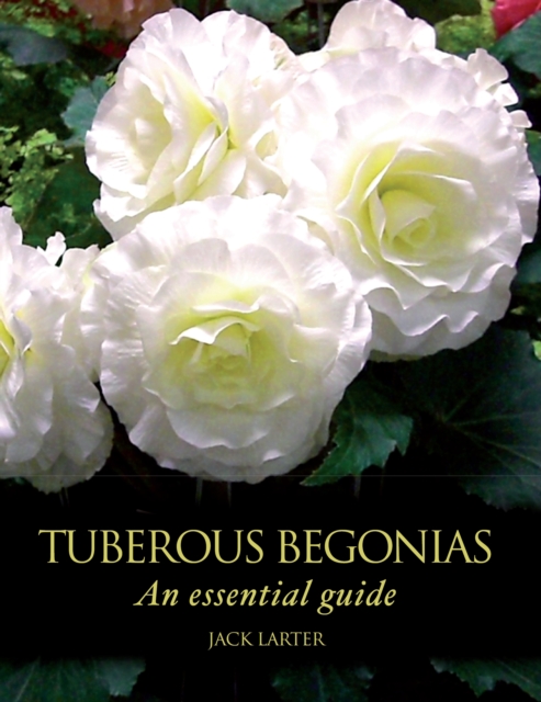 Tuberous Begonias : An Essential Guide, Hardback Book