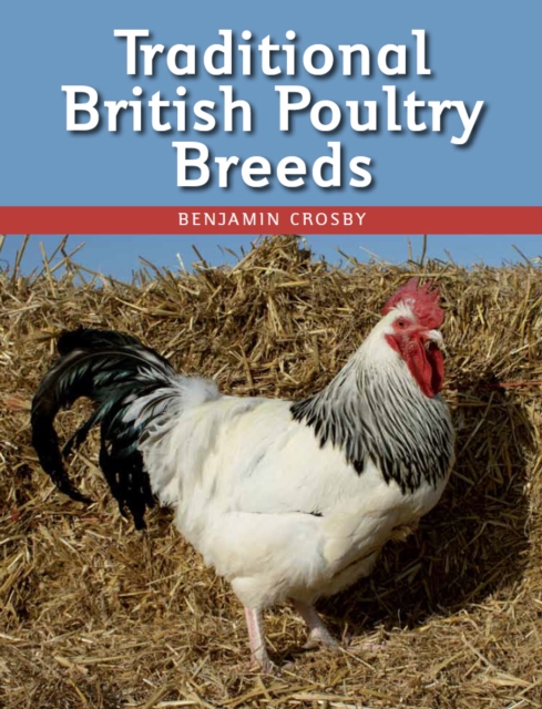 Traditional British Poultry Breeds, Paperback / softback Book