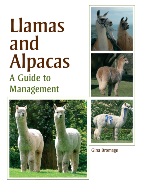 Llamas and Alpacas, EPUB eBook