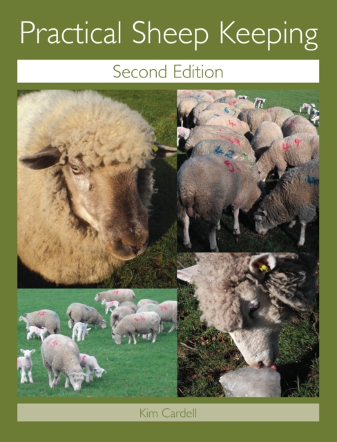 Practical Sheep Keeping, EPUB eBook