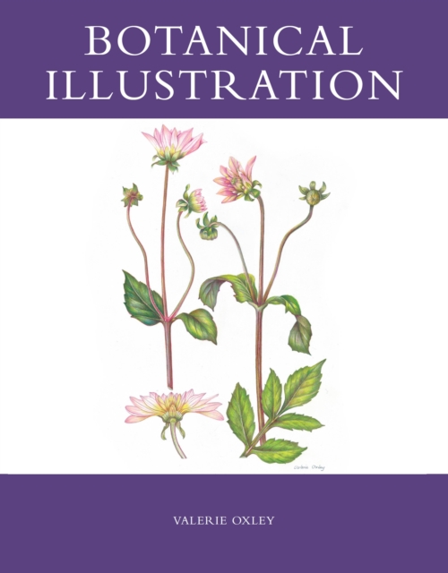 Botanical Illustration, EPUB eBook