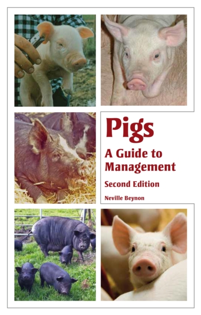Pigs, EPUB eBook