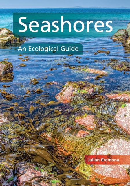 Seashores : An Ecological Guide, Paperback / softback Book