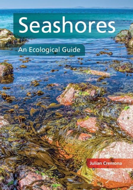 Seashores, EPUB eBook