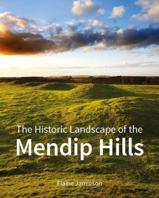 The Historic Landscape of the Mendip Hills, Paperback / softback Book