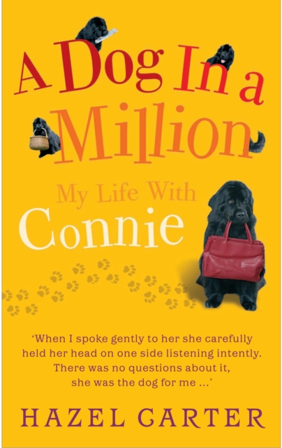 A Dog in a Million : My Life with Connie, Paperback / softback Book