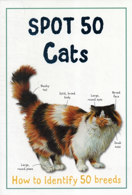 Spot 50 Cats, Paperback / softback Book