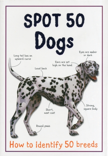 Spot 50 Dogs, Paperback / softback Book