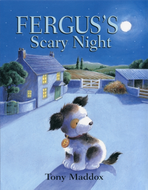 Fergus's Scary Night, Paperback / softback Book