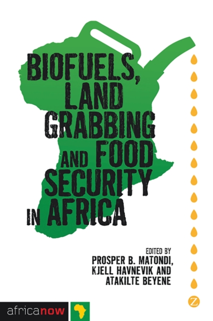 Biofuels, Land Grabbing and Food Security in Africa, Paperback / softback Book