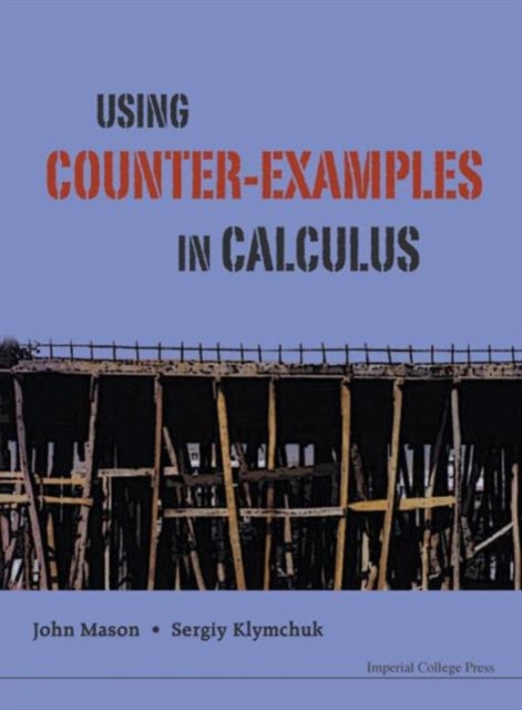 Using Counter-examples In Calculus, Hardback Book