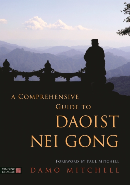 A Comprehensive Guide to Daoist Nei Gong, Paperback / softback Book