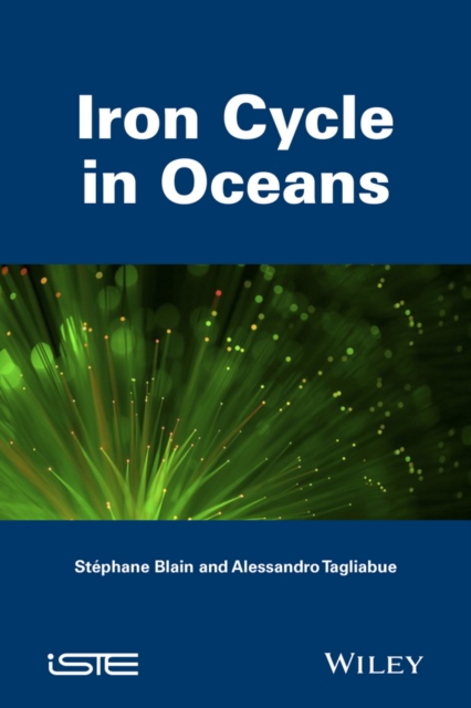 Iron Cycle in Oceans, Paperback / softback Book