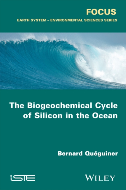 The Biogeochemical Cycle of Silicon in the Ocean, Paperback / softback Book