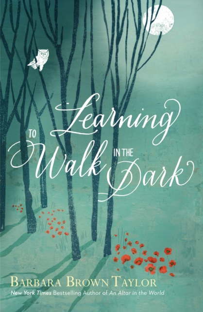Learning to Walk in the Dark : Because God often shows up at night, Paperback / softback Book