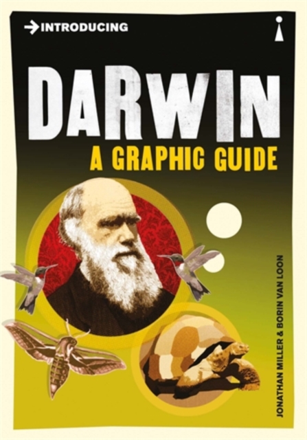 Introducing Darwin : A Graphic Guide, Paperback / softback Book
