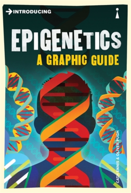 Introducing Epigenetics : A Graphic Guide, Paperback / softback Book