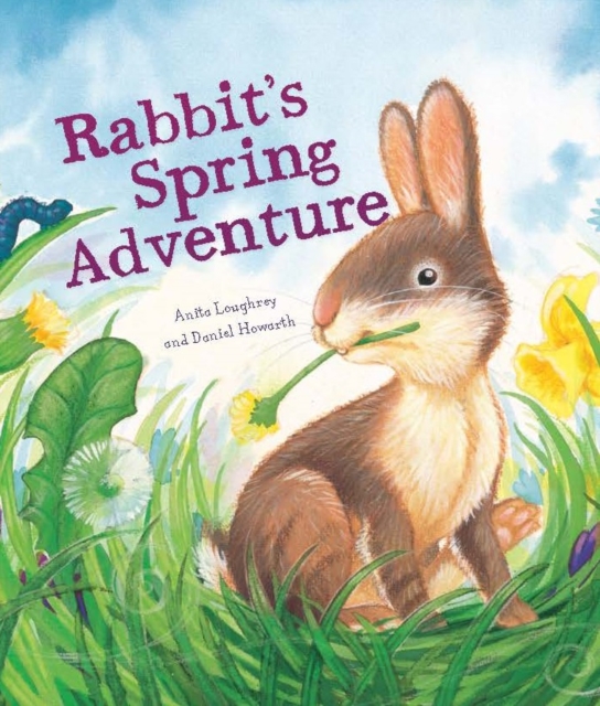 Rabbit's Spring Adventure, Paperback / softback Book