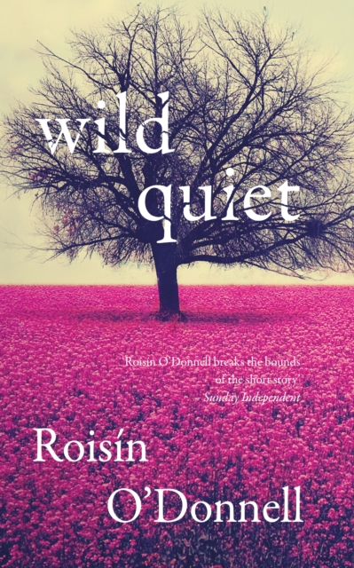 Wild Quiet, Paperback / softback Book