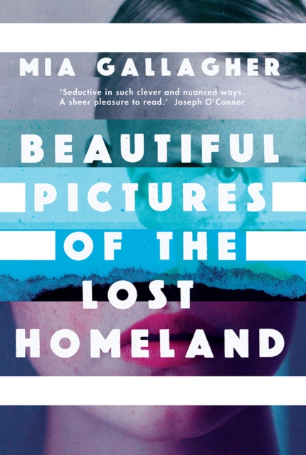 Beautiful Pictures of the Lost Homeland, Paperback / softback Book