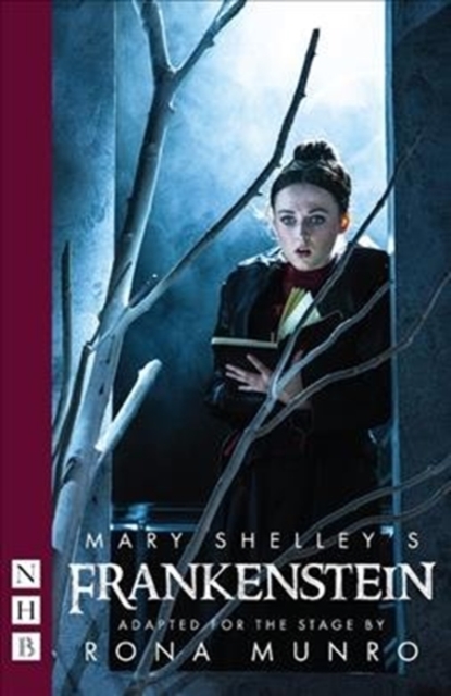 Mary Shelley's Frankenstein, Paperback / softback Book