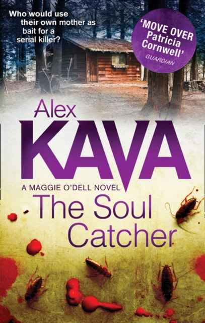 The Soul Catcher, Paperback / softback Book