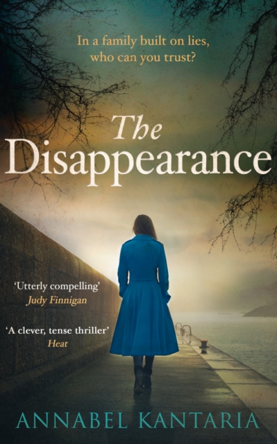 The Disappearance, Paperback / softback Book
