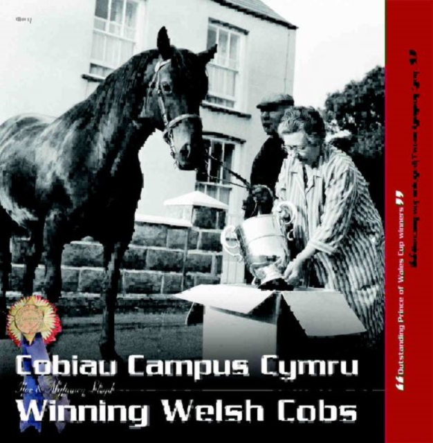 Cobiau Campus Cymru / Winning Welsh Cobs, Paperback / softback Book