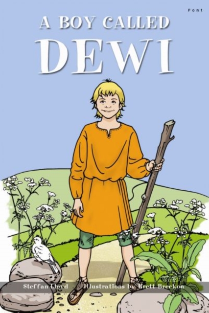 Boy Called Dewi, A, Paperback / softback Book