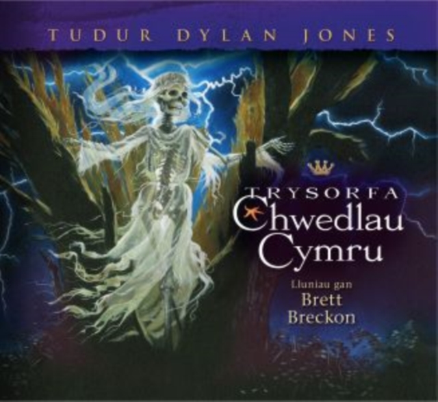 Trysorfa Chwedlau Cymru, Hardback Book