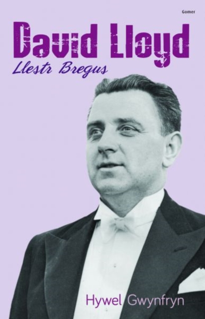 David Lloyd - Llestr Bregus, Paperback / softback Book