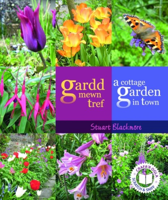 Gardd Mewn Tref/A Cottage Garden in Town, Paperback / softback Book