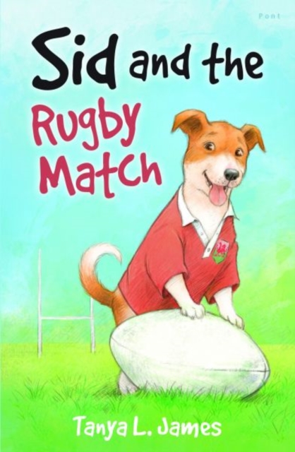 Sid and the Rugby Match, Paperback / softback Book
