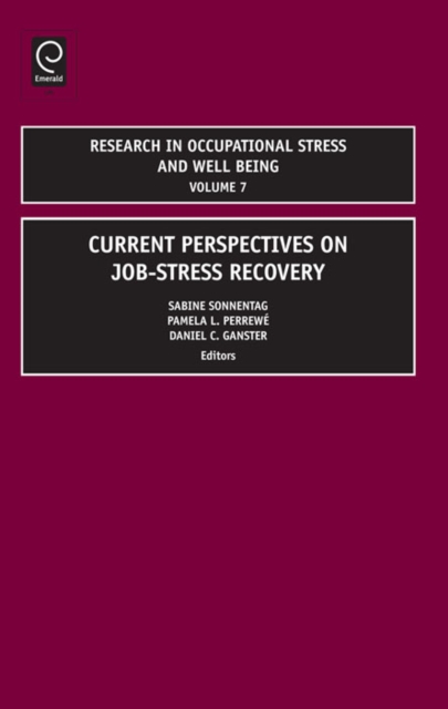 Research in Occupational Stress and Well being, PDF eBook