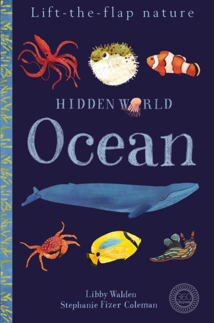 Hidden World: Ocean, Novelty book Book