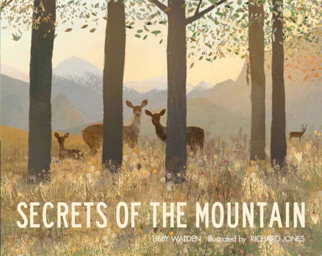 Secrets of the Mountain, Hardback Book