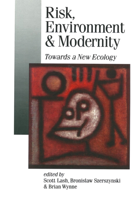 Risk, Environment and Modernity : Towards a New Ecology, PDF eBook
