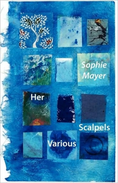 Her Various Scalpels, Paperback / softback Book