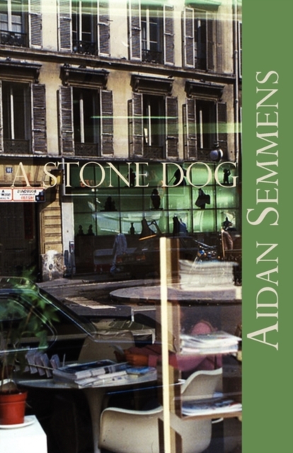 A Stone Dog, Paperback / softback Book