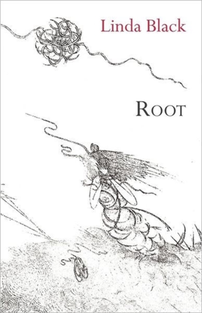 Root, Paperback / softback Book