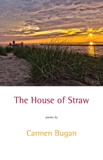 The House of Straw, Paperback / softback Book