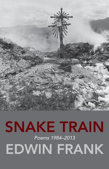 Snake Train : Poems 1984-2013, Paperback / softback Book