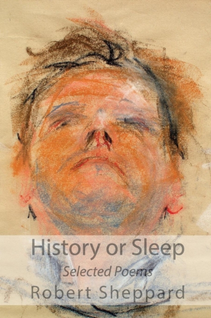 History or Sleep - Selected Poems, Paperback / softback Book