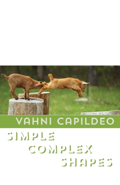 Simple Complex Shapes, Pamphlet Book