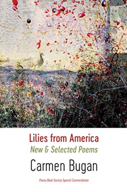 Lilies from America : New and Selected Poems, Paperback / softback Book