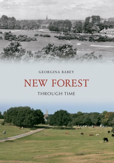 New Forest Through Time, Paperback / softback Book