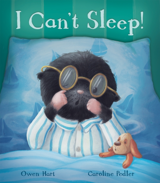 I Can't Sleep!, Hardback Book